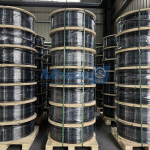 Paquete plano de línea de control de acero inoxidable 304 con encapsulación FEP