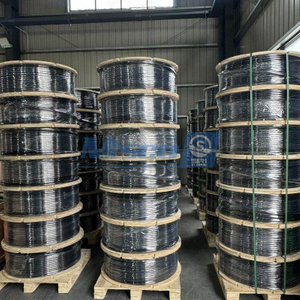 Línea de control encapsulada ASTM B704 Aleación de níquel 625 UNS N06625 con Rilsan PA 11